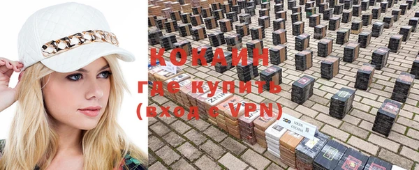 сатива Баксан