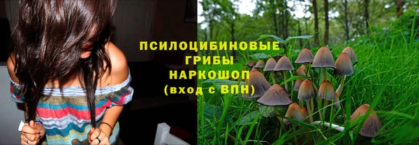 сатива Баксан
