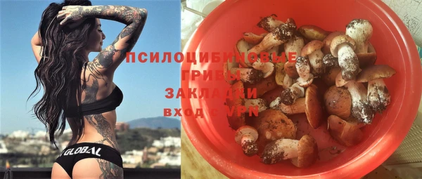 сатива Баксан